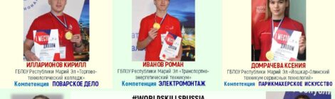 Полуфинал VIII Национального чемпионата «Молодые профессионалы» (WorldSkills Russia) 2020